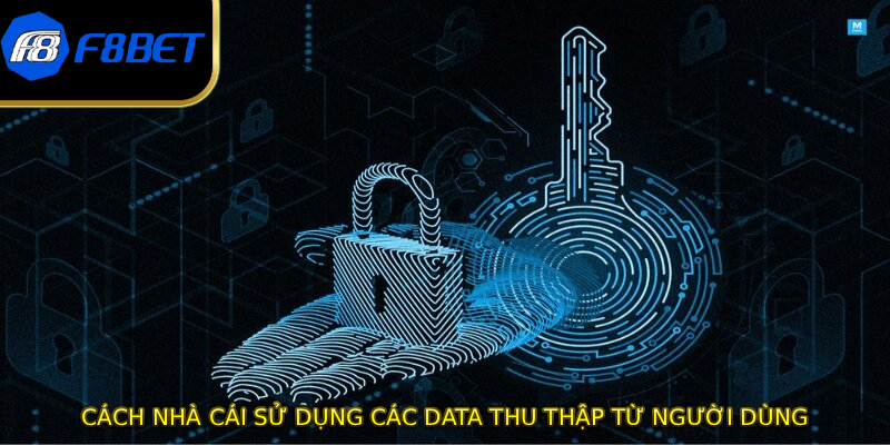 Cách nhà cái sử dụng các data thu thập từ người dùng
