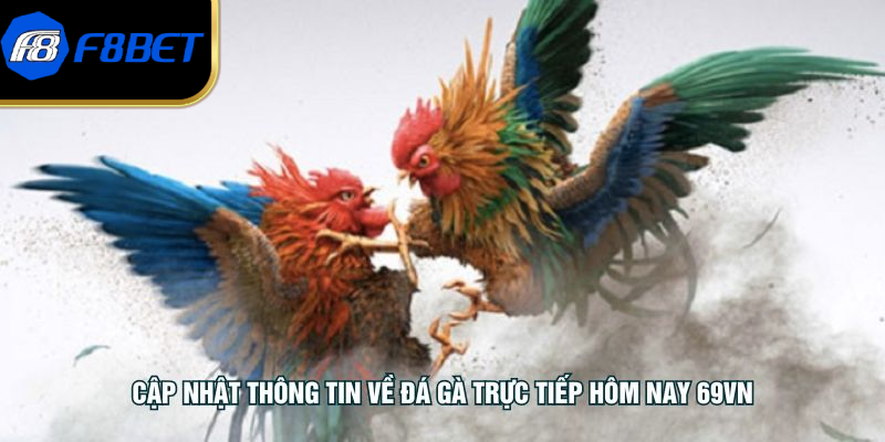 Cập nhật thông tin về đá gà trực tiếp hôm nay F8BET