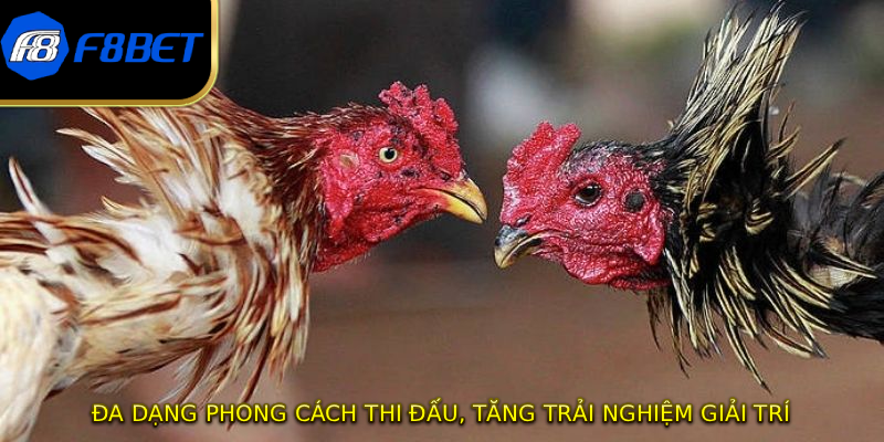 Đa dạng phong cách thi đấu, tăng trải nghiệm giải trí